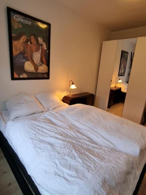 Paen Central Lejlighed Med Gratis Parkering Randers Esterno foto