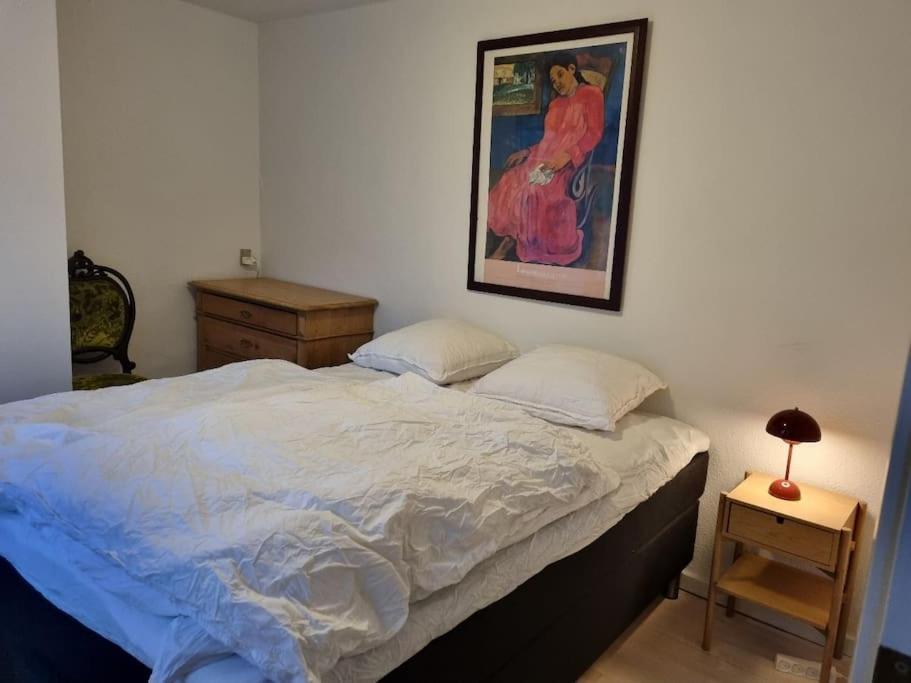 Paen Central Lejlighed Med Gratis Parkering Randers Esterno foto